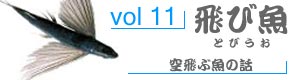 vol98_いしだい
