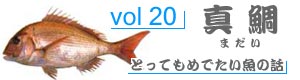 vol98_いしだい