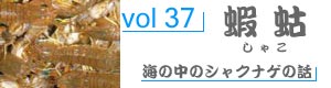 vol98_いしだい