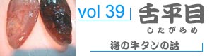 vol98_いしだい