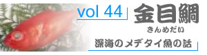 vol98_いしだい