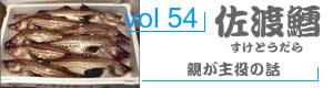 vol98_いしだい