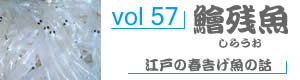 vol98_いしだい