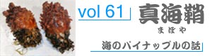 vol98_いしだい