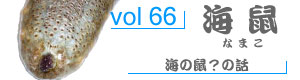 vol98_いしだい