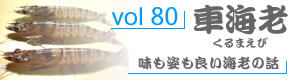 vol80_くるまえび