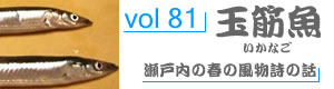 vol81_いかなご