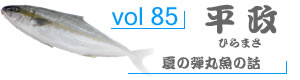 vol85_Ђ܂