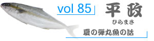 vol85_ひらまさ