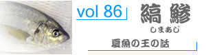 vol85_ひらまさ