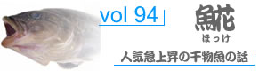 vol94_ほっけ