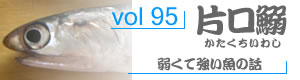 vol95_かたくちいわし