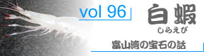 vol96_しらえび