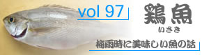 vol97_いさき