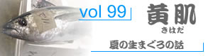 vol98_いしだい