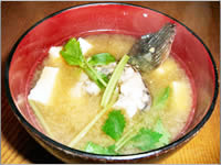 旬魚レシピ カサゴの味噌汁